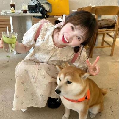 美丽的时节